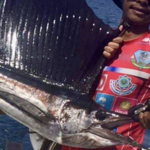 Big Game 1 - Trolling and bottom fishing at Racha Yai Island, catch sailish, barracuda, tuna, mackerel. Private charter fishing.