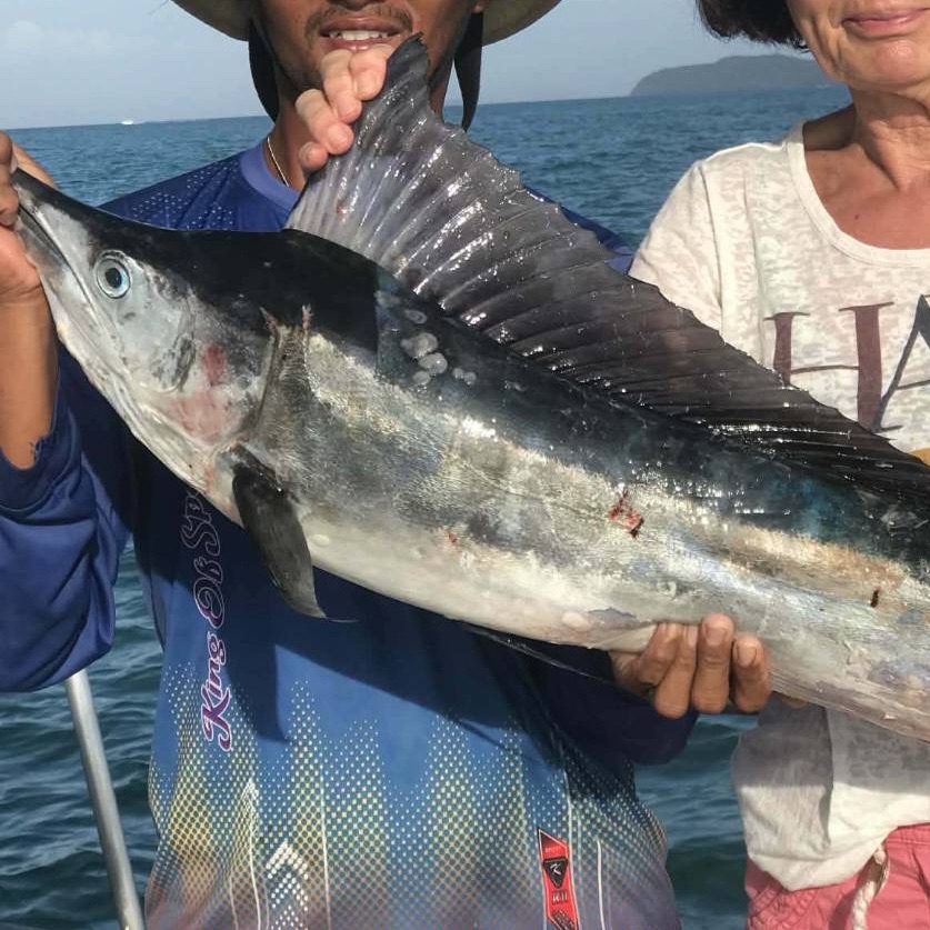 Similan Island Sailfish Private Fising